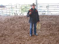 Der Pferdeflüsterer