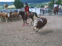 Cuttingturnier in Vachdorf